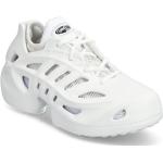 Adifom Climacool Sport Sneakers Low-top Sneakers White Adidas Originals