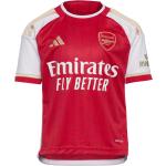 Punaiset adidas Performance Arsenal FC Jalkapallopaidat 