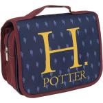 Artesania Cerda Toiletry Bag Harry Potter
