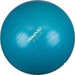 Avento Fitness/jumppapallo halkaisija 55 cm sininen - Sininen