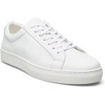 Miesten Valkoiset Koon 43 Bianco Footwear Matalavartiset tennarit 