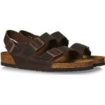 BIRKENSTOCK Milano Classic Footbed Habana Oiled Leather