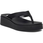 Carlene Sandal Shoes Summer Shoes Platform Sandals Black Steve Madden