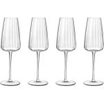 Champagneglas Optica 4 Stk. Home Tableware Glass Champagne Glass Nude Luigi Bormioli