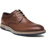 Danilo Shoes Business Laced Shoes Brown Lloyd