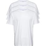 Dickies Tsht Pk Designers T-shirts Short-sleeved White Dickies
