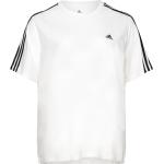 Naisten Valkoiset Koon 4 XL Lyhythihaiset adidas Sportswear Lyhythihaiset t-paidat 