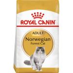 Feline Breed Norwegian Forest Cat 10 kg - Kissat - Kissanruoka - Kuivaruoka - Royal Canin