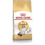 Feline Breed Ragdoll 2 kg - Kissat - Kissanruoka - Kuivaruoka - Royal Canin