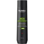 Miesten Goldwell Dualsenses Hilsettä ehkäisevät 300 ml Shampoot Normaaleille hiuksille Hilseilevälle päänahalle 