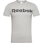 Gs Reebok Linear Rea Sport T-shirts Short-sleeved Grey Reebok Classics