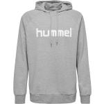 Hupparit Hummel Go Kids Cotton Logo Hoodie 203512-200