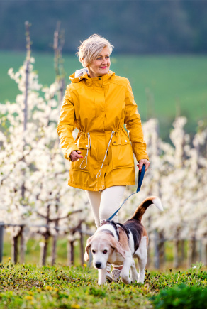 Nainen ulkoiluttaa koiraa kirsikkapuiden keskellä keltaisessa anorakissa
