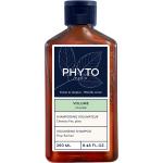 Phyto Tuuheuttavat 250 ml Shampoot 