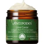 Lime Caviar Collagen-Rich Firming Cream Päivävoide Kasvovoide Nude Antipodes