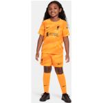 Keltaiset Polyesteriset Nike Dri-Fit FC Liverpool Kestävän muodin Urheilupaidat 3 kpl alennuksella 