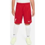 Punaiset Polyesteriset Hengittävät Nike Football FC Liverpool Kestävän muodin Vaatteet alennuksella 
