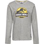 Long-Sleeved T-Shirt Grey Sun City Jurassic Park