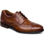Marian Shoes Business Brogues Brown Lloyd