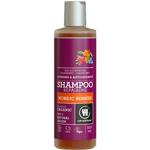 Luonnonkosmetiikka Antioksidantti Urtekram 250 ml Shampoot 
