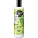 Oliivinvihreät Avokado Organic Shop Shampoot 