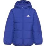 Lasten Siniset Koon 176 adidas Sportswear - Toppatakit verkkokaupasta Boozt.com 