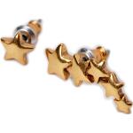 Pilgrim Earring Classic Accessories Jewellery Earrings Studs Gold Pilgrim