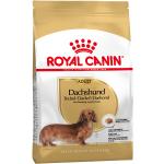 Royal Canin Breed Koiratarvikkeet 