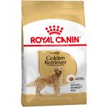 12kg Golden Retriever Adult Royal Canin Breed Koiranruoka