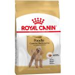 7,5kg Poodle Adult Royal Canin Breed Koiranruoka