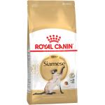 10kg Siamese Adult Royal Canin Breed Kissanruoka