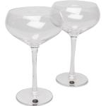 Saga Champagne Coupe Glass, 2-Pack Home Tableware Glass Champagne Glass Nude Sagaform