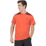 Salomon Outline Short Sleeve T-shirt Orange L Homme