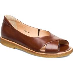 Sandals - Flat - Open Toe - Clo Brown ANGULUS
