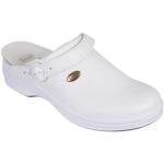 Naisten Valkoiset Casual-tyyliset Pehmeästä nahasta valmistetut Scholl Vapaa-ajan kengät 