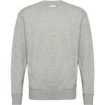Sdlenz Crew Sw Tops Sweat-shirts & Hoodies Sweat-shirts Grey Solid