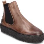 Shallow Ii W Shoes Boots Ankle Boots Ankle Boots Flat Heel Brown Sneaky Steve