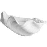 Shell Home Decoration Decorative Platters White Mette Ditmer