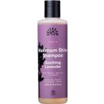 Luonnonkosmetiikka Urtekram Rauhoittavat 250 ml Shampoot 