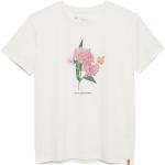Tentree W Monarch Botanical T-shirt - Cloud White Heather/dawn Pink - Naiset - M - Partioaitta