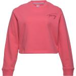 Naisten Vaaleanpunaiset Koon 3 XL Tommy Hilfiger Tommy Jeans Plus-koon svetarit 