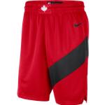 Toronto Raptors Icon Edition 2020 Men's Nike NBA Swingman Shorts - Red - 50% Recycled Polyester