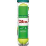 Vihreät Wilson Starter Tennispallot 