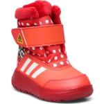 Lasten Punaiset Koon 35 Tarralliset adidas Sportswear Talvisaappaat talvikaudelle alennuksella 